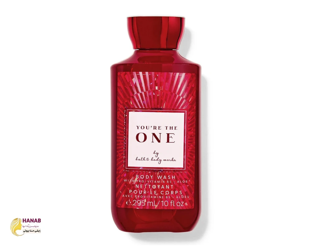 لوسیون بدن بث اند بادی وورکس Bath and Body Works رایحه You’re The One